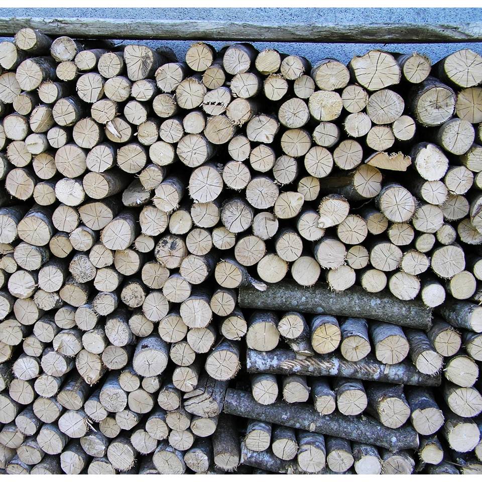 Wood Pile in the Alps - photo by Michele Szekely