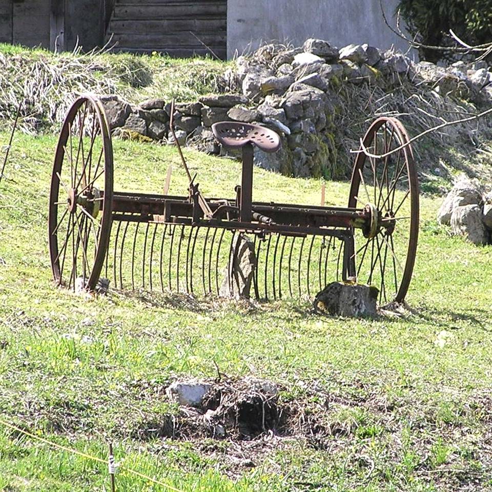 Old French cart - photo by Michele Szekely
