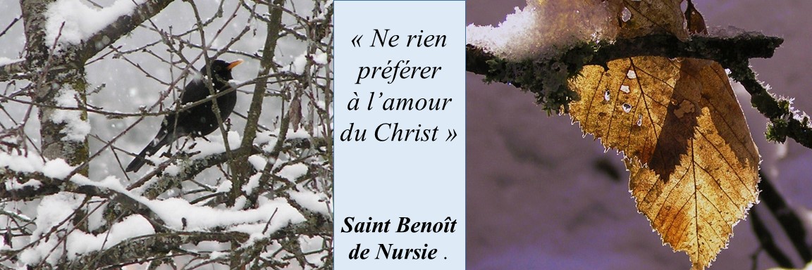 Quote from St Benoit